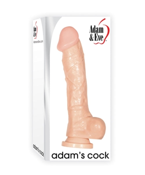 Adam and Eve Adam's Cock